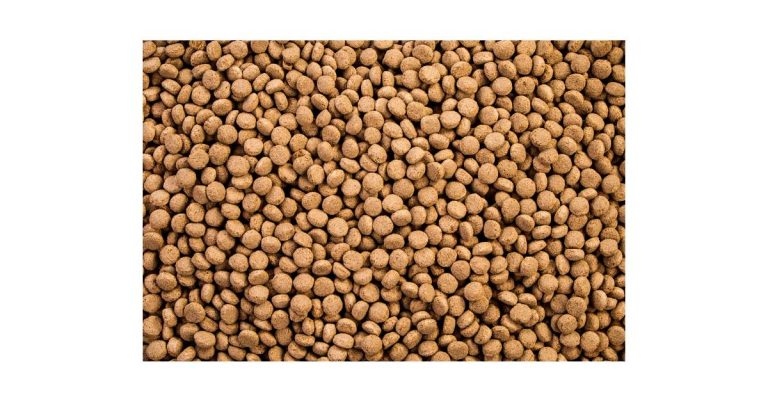 Best Dog Food for Dogs With Kidney Stones: Expert Nutrition to Prevent Recurrence and Support Urinary Health